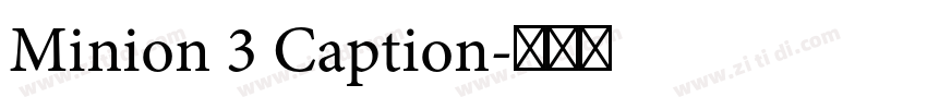 Minion 3 Caption字体转换